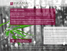 Tablet Screenshot of prana-conseil.com